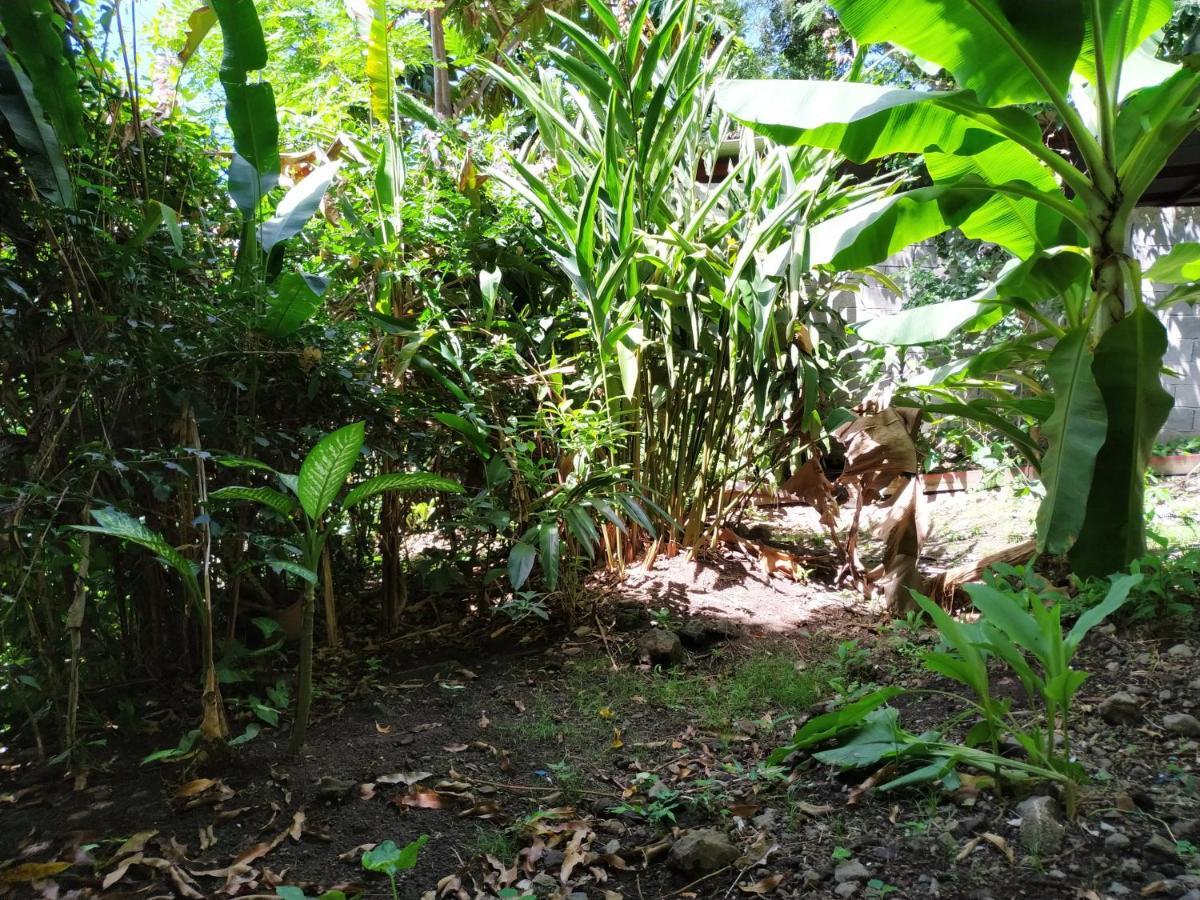 Koulè bô kay  Vila Le Carbet Exterior foto